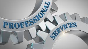 Professional Services